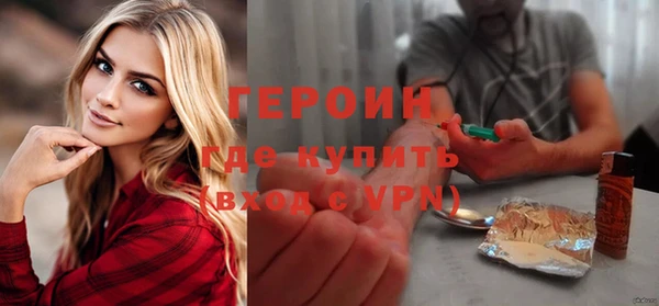индика Арсеньев