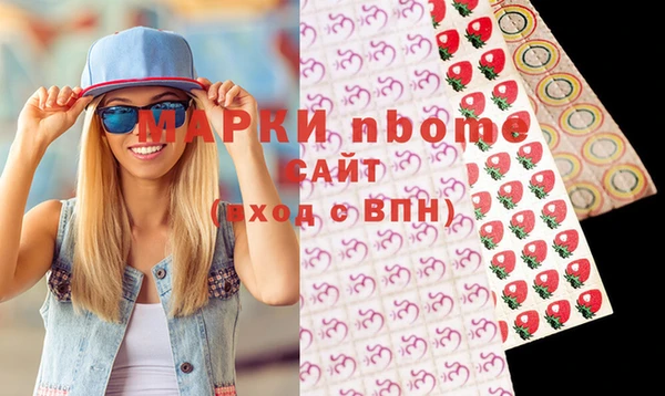 индика Арсеньев