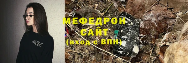 индика Арсеньев