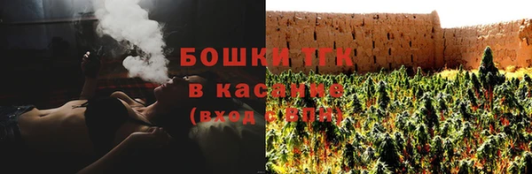 индика Арсеньев