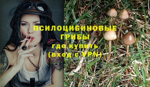 марки lsd Армянск