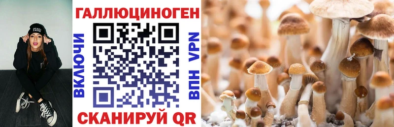 нарко площадка Telegram  Лебедянь  Псилоцибиновые грибы MAGIC MUSHROOMS 